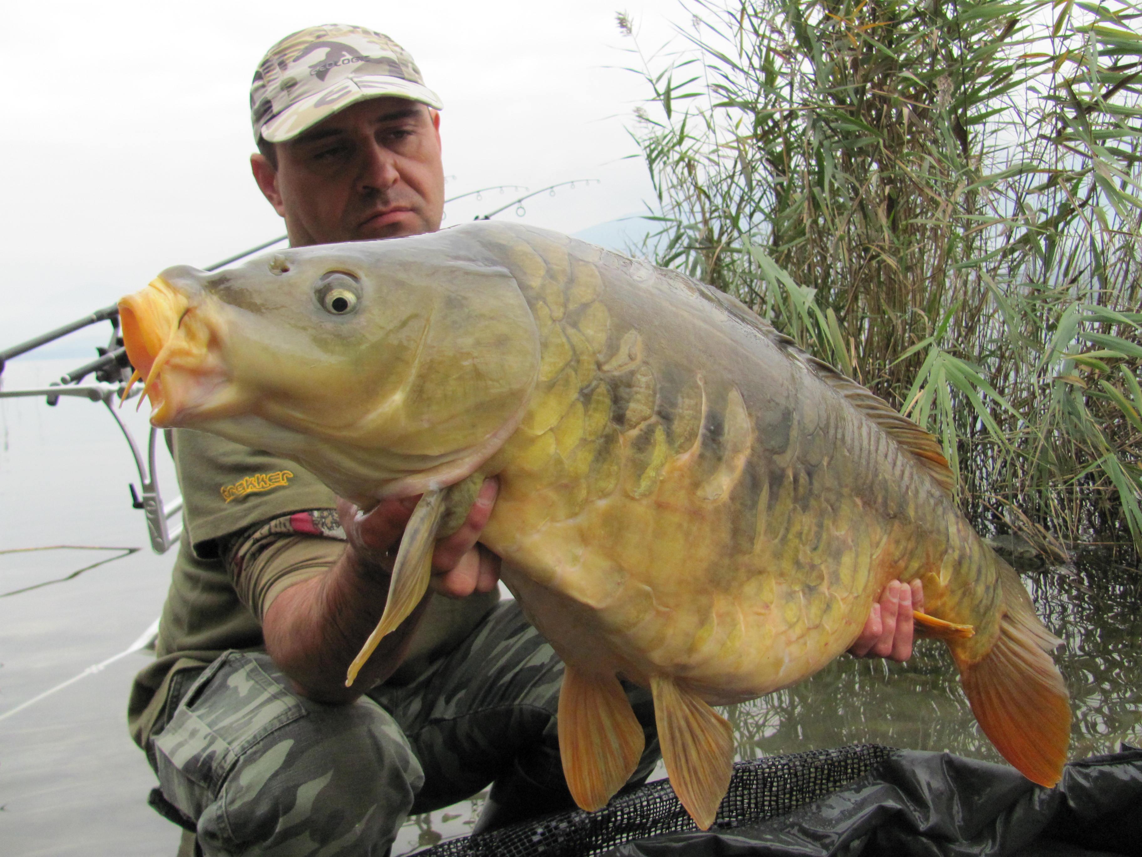 Carpfishing - IMG_1438.JPG